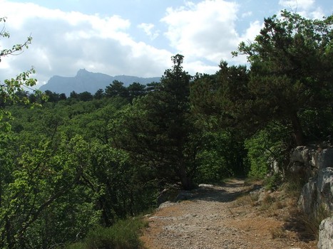 Солнечная тропа, фотографии